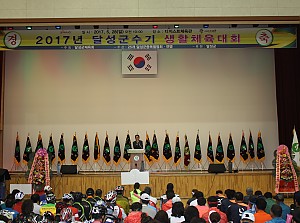 2017년 달성군수기생활체육대회 개회식